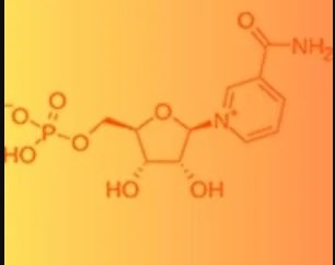 Nicotinamide mononucleotide (NMN)