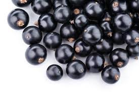 Black Currant Powder