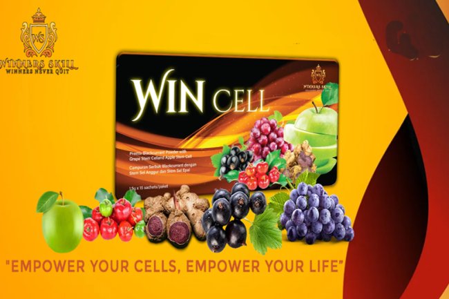 Total Freedom For Everyone