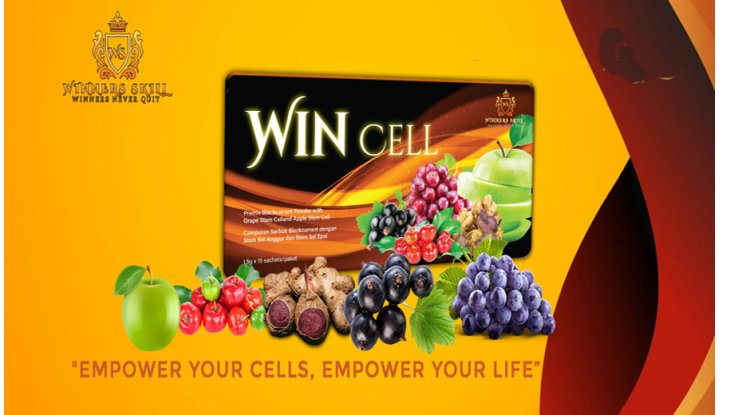 Total Freedom For Everyone